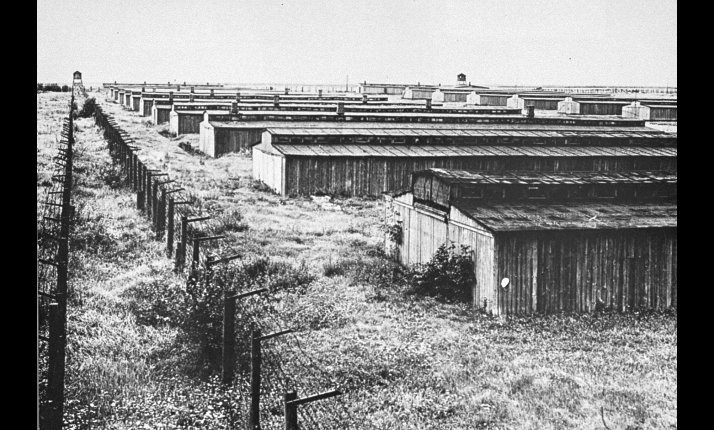Prisoner barracks at Majdanek after liberation. Copyright The Holocaust Explained.