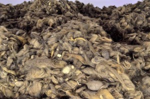 Piles of hair cut from prisoners upon entering Auschwitz. Copyright Travel Junkies.
